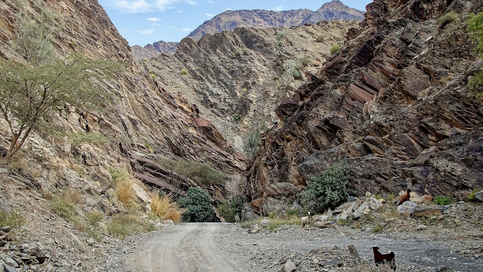 Verse by verse Bible teaching from the message, A Dangerous Journey: Genesis 12:1-20